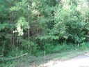 59 Country Cove Court sold home in Leicester, SC