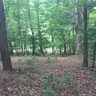 00 Echo Lane lot A sold home in Saluda, SC