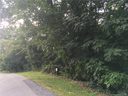 Lot 53 Lot 54 Presidential Drive sold home in Waynesville, SC