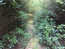 40 49 Sugar Creek Drive sold home in Cedar Mountain, SC