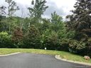 Tbd Camsyn Drive 46 sold home in Weaverville, SC