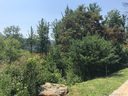 Tbd Camsyn Drive 43 sold home in Weaverville, SC