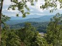 9 Soaring Hawk View 15 sold home in Asheville, SC
