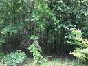 3687 Burton Street sold home in Sherrills Ford, SC