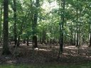 Lot 171 Mountain Laurel Drive sold home in Columbus, SC