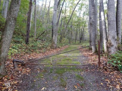 Lots 216 217 Apple Creek Acres Road