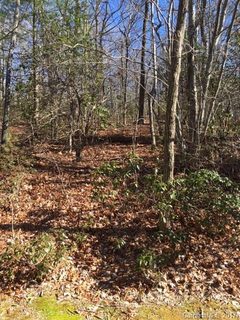 296 Birchbend None sold lot in Cliff Ridge Colony, Cleveland, SC