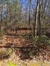 296 Birchbend None sold home in Cleveland, SC
