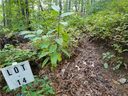 105 Sugar Creek Drive Lot # 14 sold home in Cedar Mountain, SC