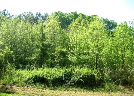 8626 Arbor Oaks Circle #12 sold lot in Arbor Oaks, Concord, NC