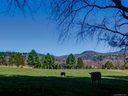 Lot 6 Olivia Trace sold home in Fletcher, SC