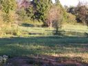 1254 Spring Meadow Drive sold home in Woodleaf, SC