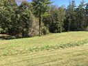44 Carl Roberts Road 12 sold home in Alexander, SC