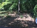 4232 Cascade Street sold home in Terrell, SC