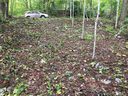 37 Lady Slipper Trail sold home in Swannanoa, SC