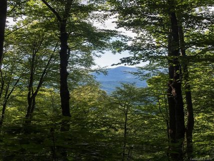 Lot 3 Bee Tree Road sold lot in Eagle Rock Cove, Swannanoa, NC