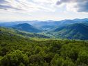 Tbd Bee Tree Road sold home in Swannanoa, SC