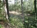 78 Abbey Lane #21 sold home in Hendersonville, SC