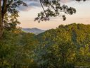 227 Serenity Ridge Trail sold home in Asheville, SC