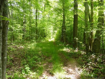 Tbd Running Bear Road