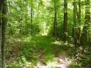 Tbd Running Bear Road sold home in Hot Springs, SC