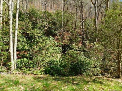 00 Andrew Lane sold lot in Mountain Chalet, Canton, NC