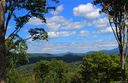 47 Curtain Bluff None The Ridge Lot 3 sold home in Hendersonville, SC