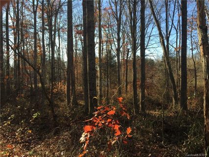 178 Con Lee Drive sold lot in Con Lee Heights, Olin, NC