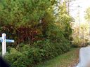 0 Whisper Lake Drive 50/Phase I sold home in Sapphire, SC