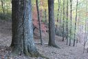 9999 Shining Rock Path 10R sold home in Mills River, SC