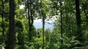 Lot T 18 1915 Creston Drive T-18 sold home in Black Mountain, SC