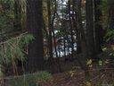 0 Springwood Drive Lot 24 Map 7 sold home in Mount Gilead, SC