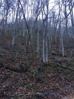 9999 Fairview Pointe Road sold lot in Crystal Falls, Fairview, NC