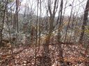 00 Joshua Road Lot # 19 sold home in Rosman, SC