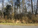 10511 Montecarlo Drive sold home in Huntersville, SC