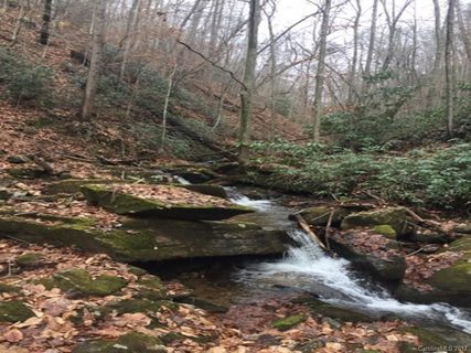 00 Private Road 21,22,23,25,26,27,28 sold land listing in Bear Creek, Saluda, NC