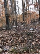 0 Gaston Day School Road 14A sold lot in Hearthstone, Gastonia, NC
