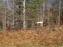 Lot 18 Forest Creek Drive sold home in Statesville, SC