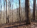 Lot 44 Fern Trail sold home in Waynesville, SC