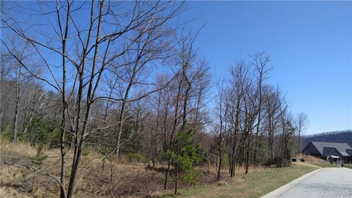 163 Stonefly Drive 121