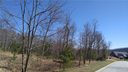 163 Stonefly Drive 121 sold home in Horse Shoe, SC