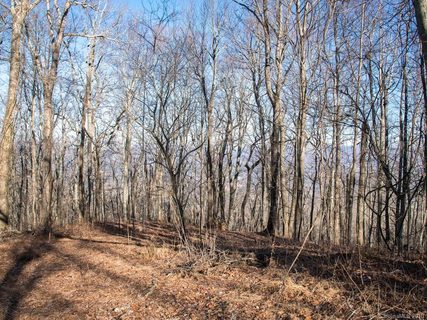 99999 High Top Drive 17 sold home in Burney Mountain, Fletcher, NC