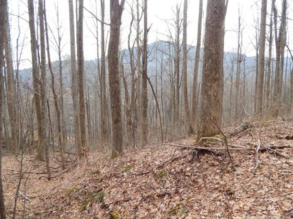 Lot 45 Fern Trail