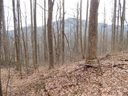 Lot 45 Fern Trail sold home in Waynesville, SC