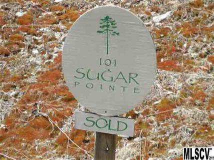 Lot 101 Cloud Springs Drive sold land listing in Sugar Pointe at Cloud Spring Park, Sugar Mountain, NC