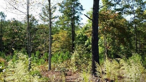 3187 Panoramic Vista Court 62 sold land listing in Lake Vista, Valdese, NC