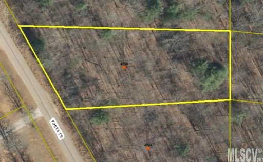 4180 Tonys Trail 100
