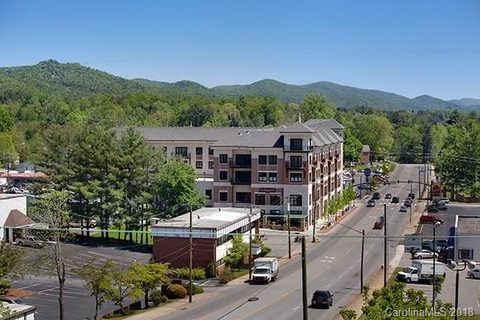 29 French Broad Street 313