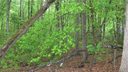 000 Lake Wylie Road sold home in Belmont, SC