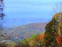 135 Starling Pass 99 sold home in Asheville, SC